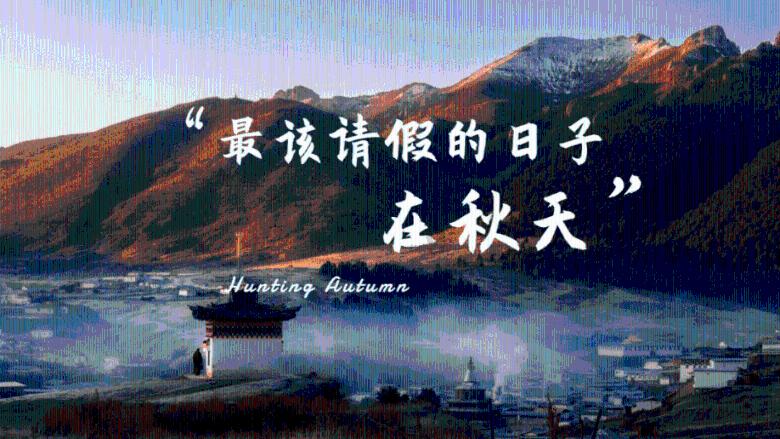 把握孕期胎教，宝宝出生后将会更聪明，孕妈们都知道吗？